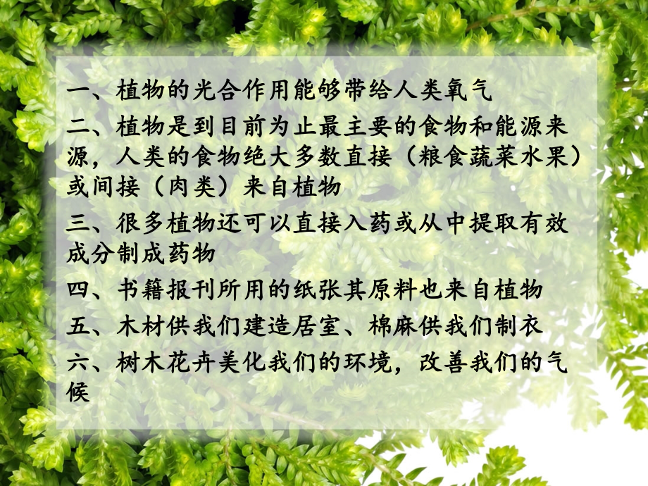 思品课——6花草树木点头笑.ppt_第2页