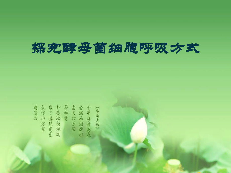 探究酵母菌细胞呼吸方式模型的构建和迁移运用-4.ppt_第1页