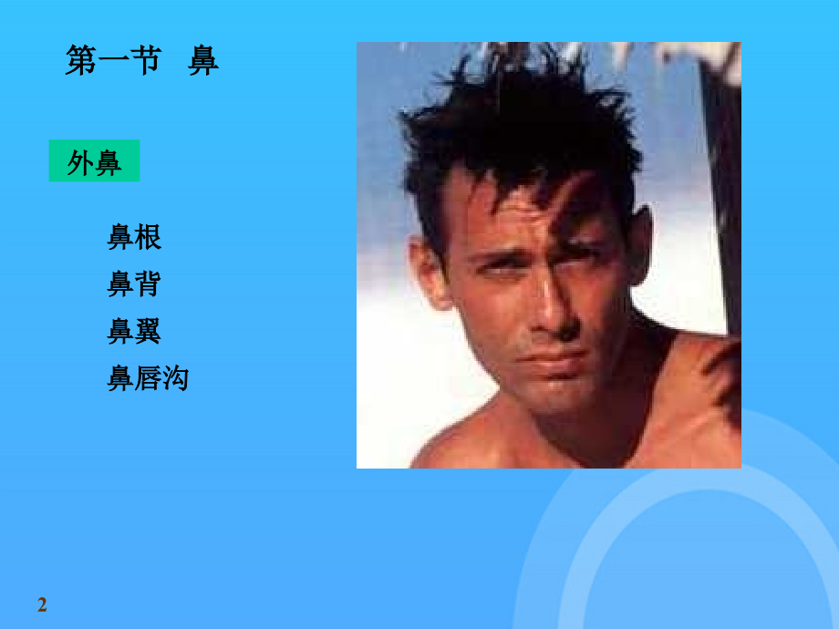 医学人体解剖学内脏学呼吸系统.ppt_第2页