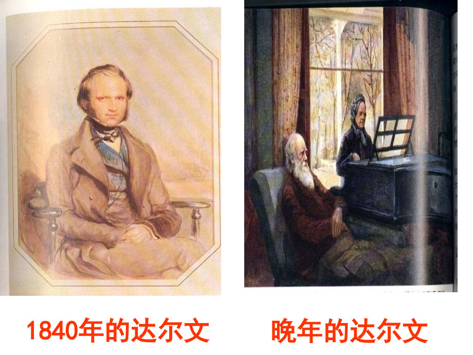 《物种起源绪论》课件2.ppt_第2页