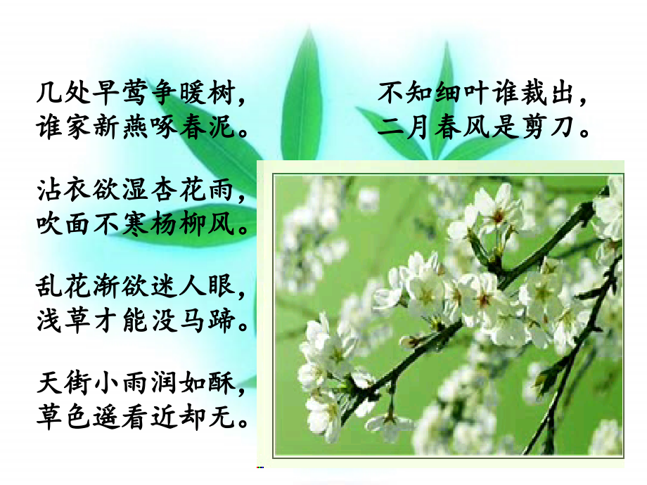 《春》教学.ppt_第1页