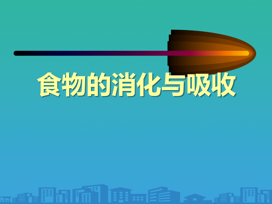 《食物的消化与吸收》.pptx_第1页