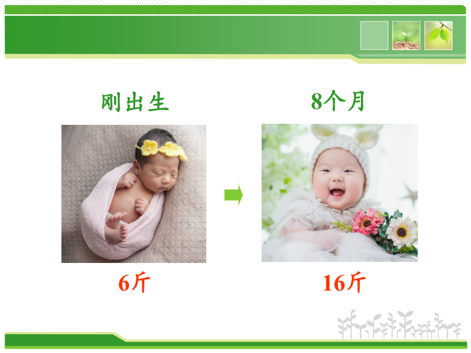 脂肪、蛋白质.ppt_第1页