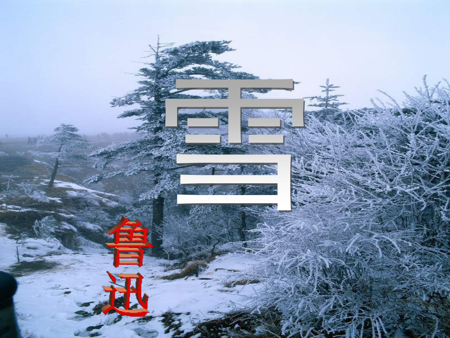 《雪》四人谈.pptx_第1页