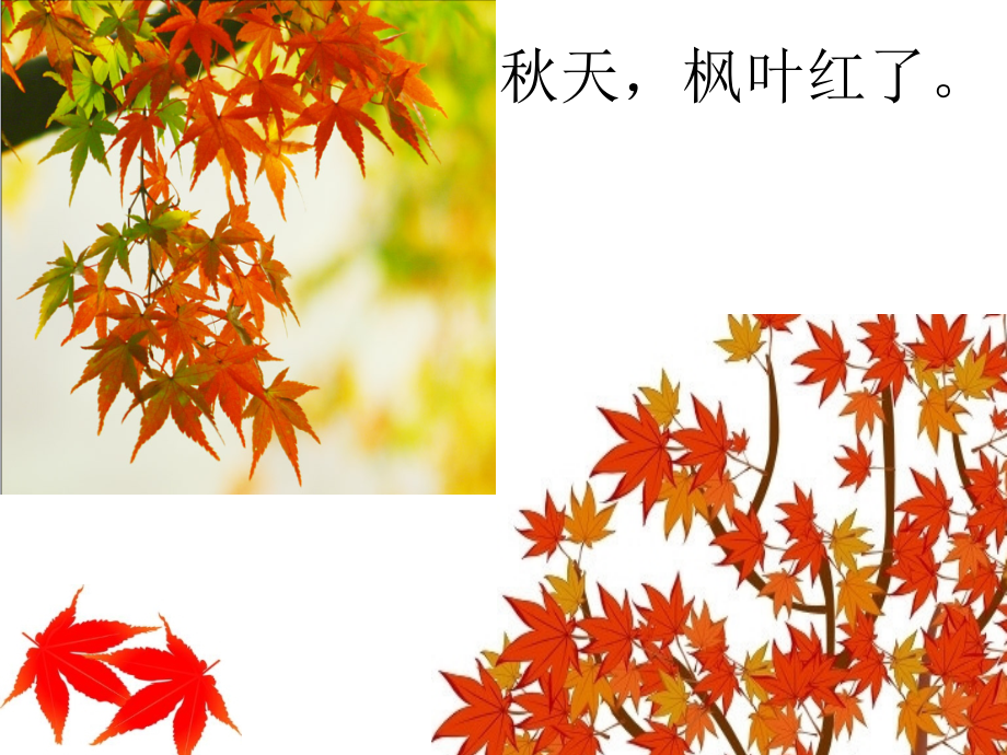 苏教版语文一上7、秋姑娘的信课件.ppt_第1页
