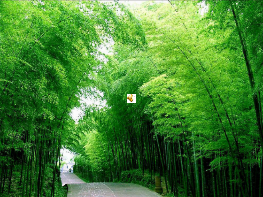 竹影一课.ppt_第1页