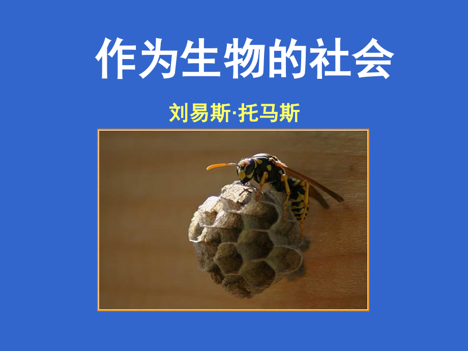 《作为生物的社会》课件1.ppt_第1页