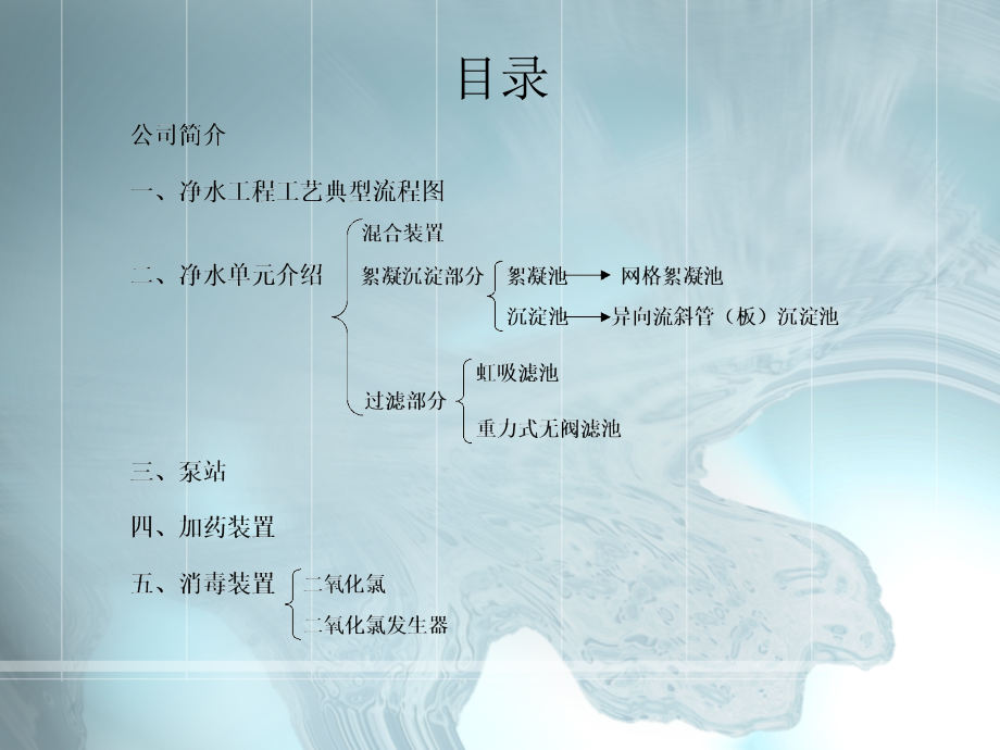 常规净水处理工艺介绍.PPT.ppt_第2页