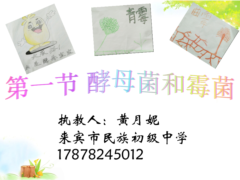 第一节酵母菌和霉菌.pptx_第2页