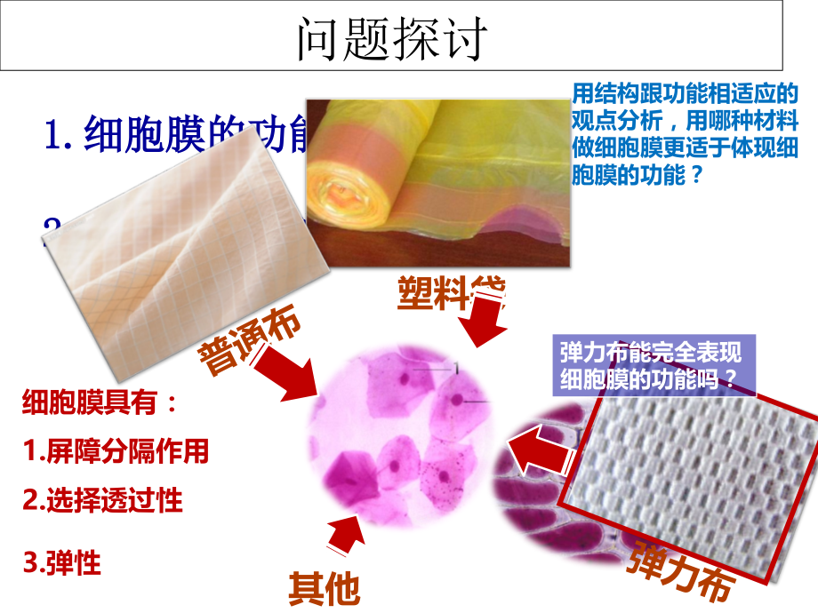 高中生物同步课件：4.2 生物膜的流动镶嵌模型(4)(人教版必修1).ppt_第2页