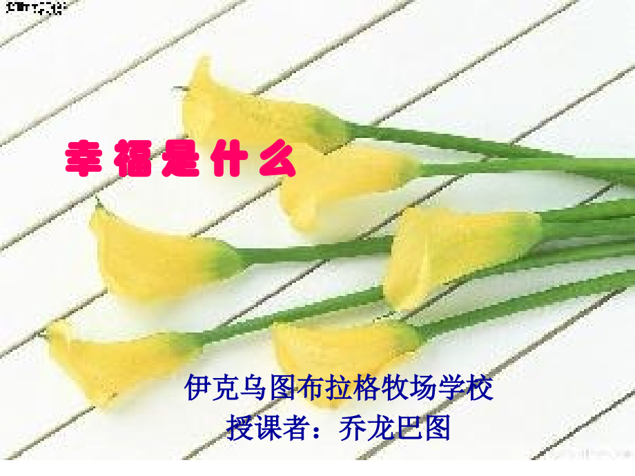 幸福是什么乔龙巴图.ppt_第1页