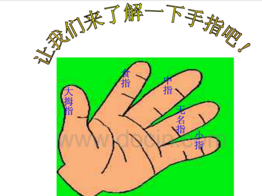 六下手指PPT.ppt_第2页