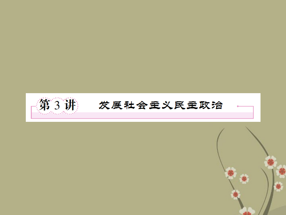 高三政治二轮复习-2.3发展社会主义民主政治课件.ppt_第1页
