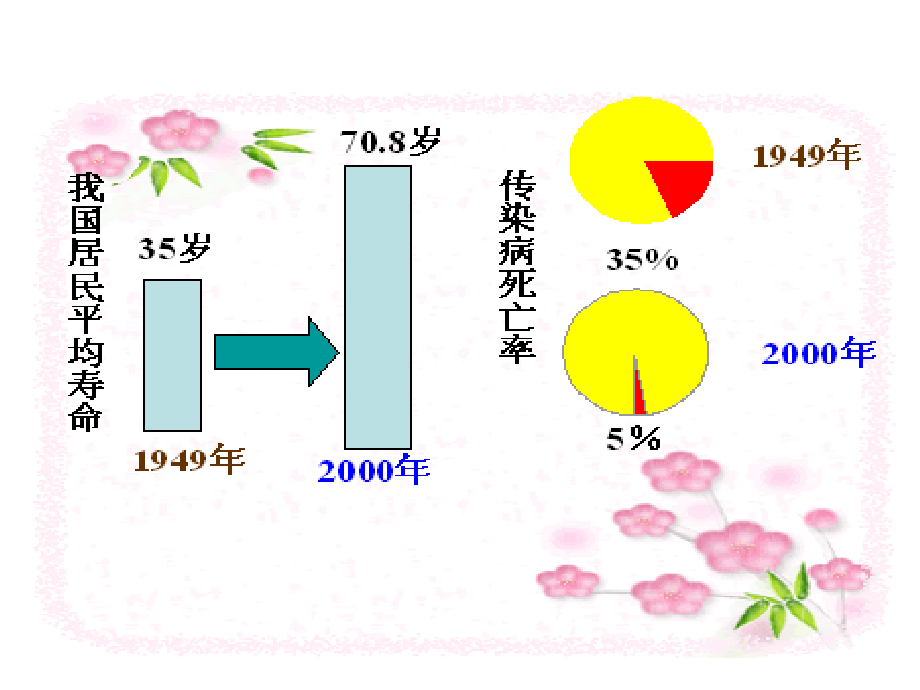 第四单元造福人类健康的化学药物.ppt_第2页