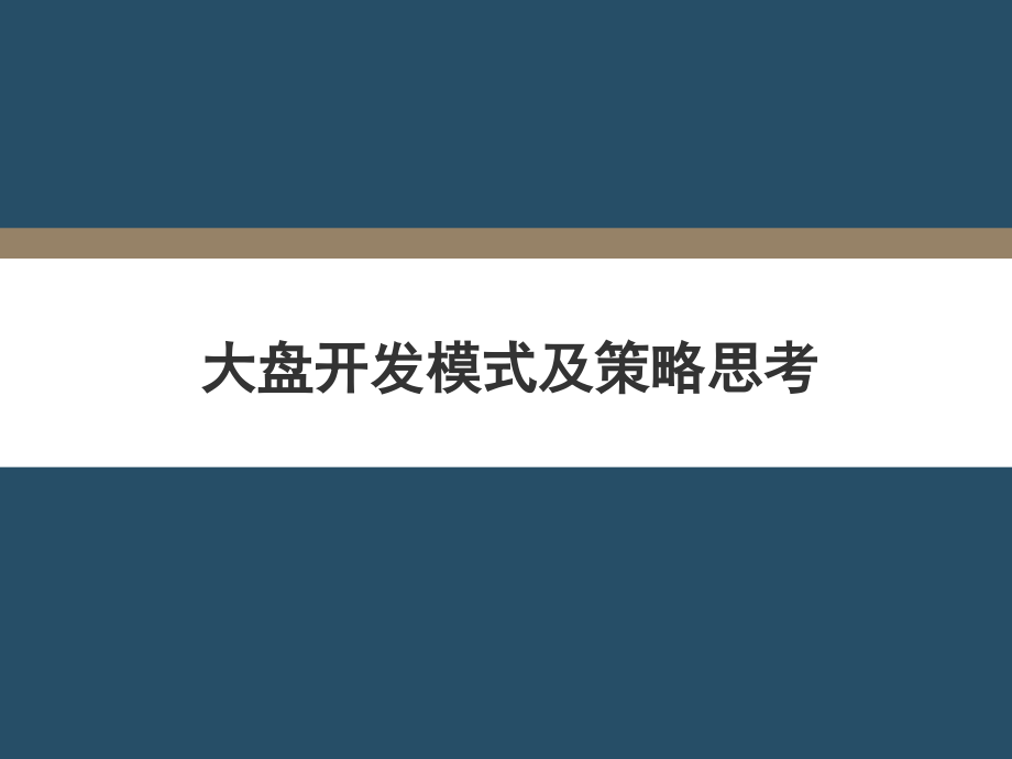 大盘开发模式及策略思考.ppt_第1页
