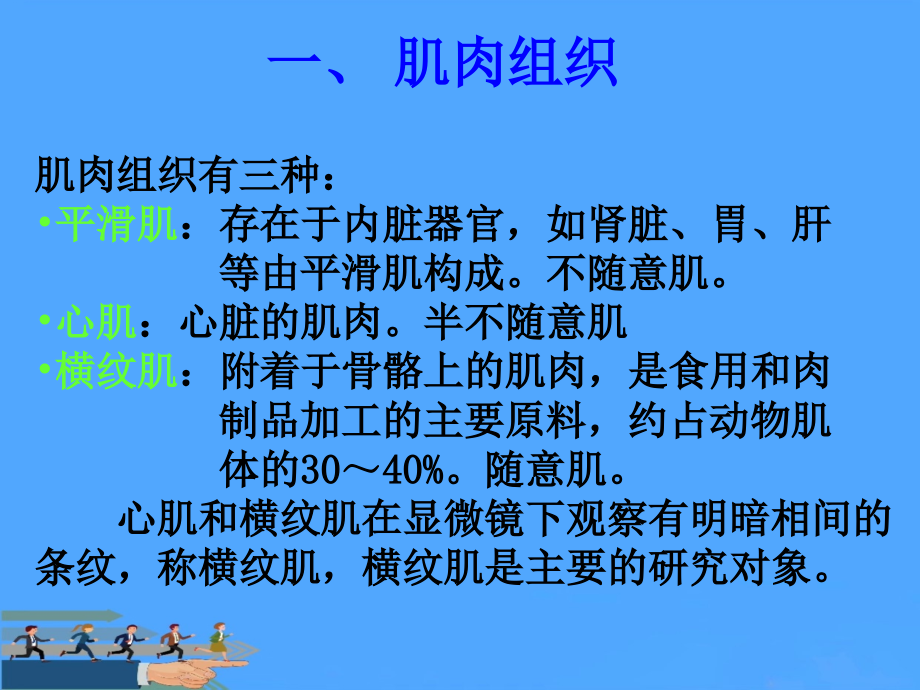 肉的结构及特性.ppt_第2页