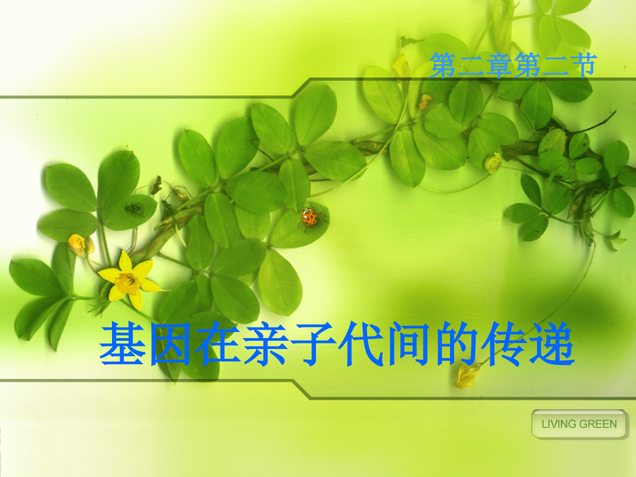 基因在亲子代间的传递.ppt_第1页