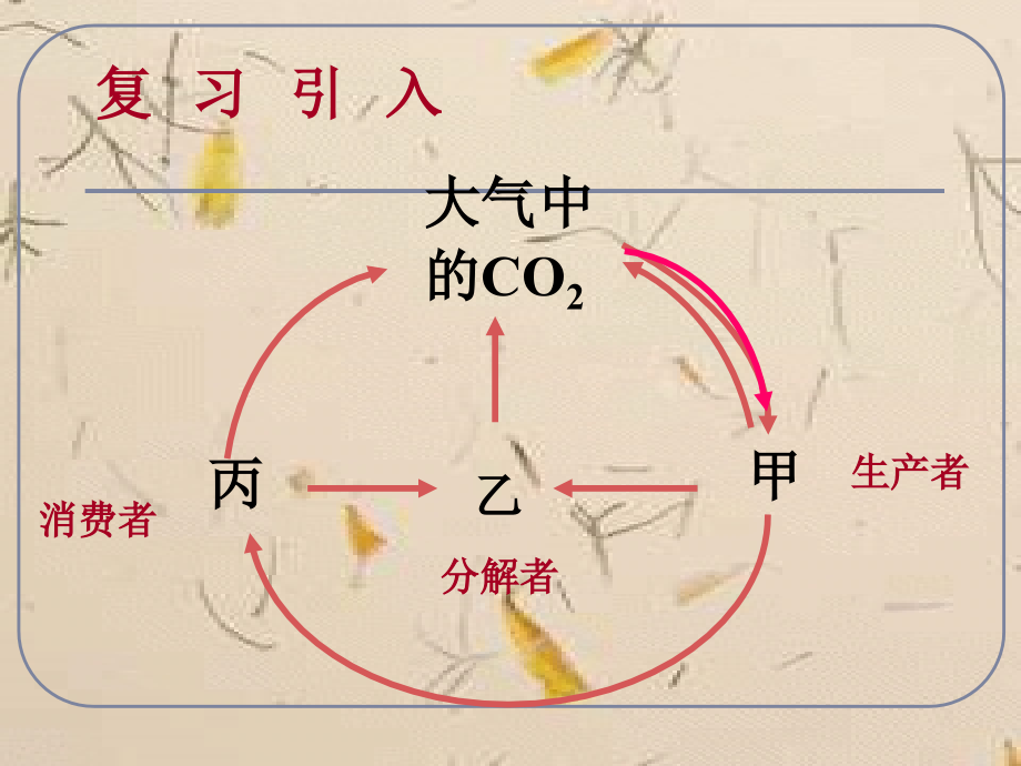 人教版教学课件必修三5-2《生态系统的能量流动》课件.ppt_第2页