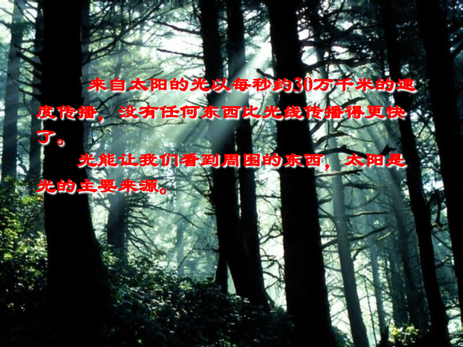 教科版小学科学五年级上册课件《阳光下的影子》.ppt_第2页