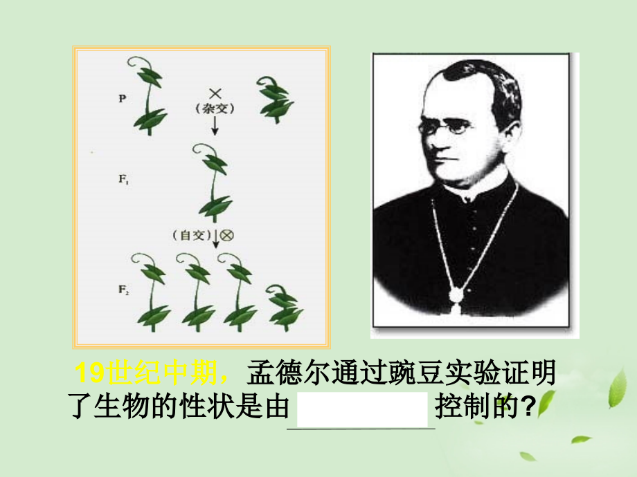高中生物-3.1《核酸是遗传物质的证据》课件(2)-浙科版必修2.ppt_第2页