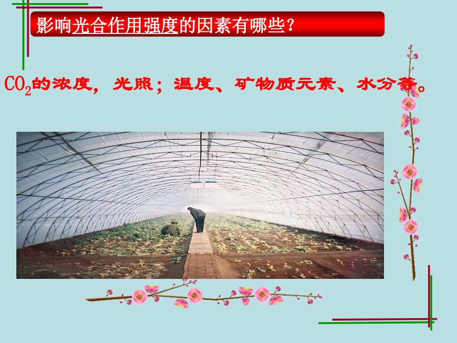 光合作用的应用好.ppt_第2页