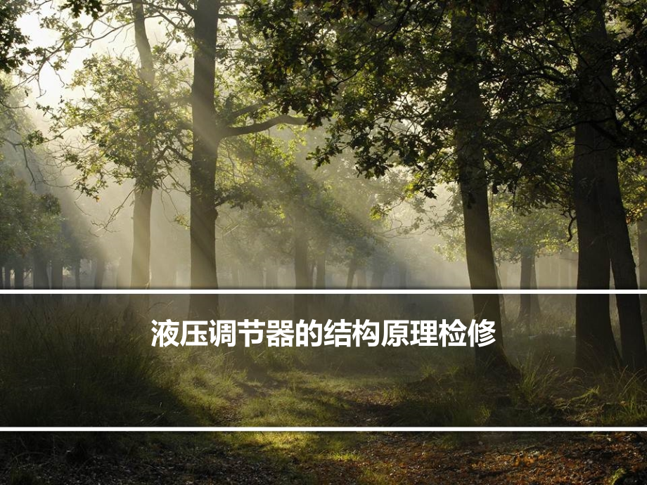 液压调节器.ppt_第1页