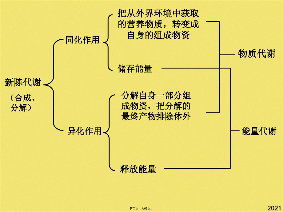 公共营养师培训课件全套营养基础学.pptx_第2页