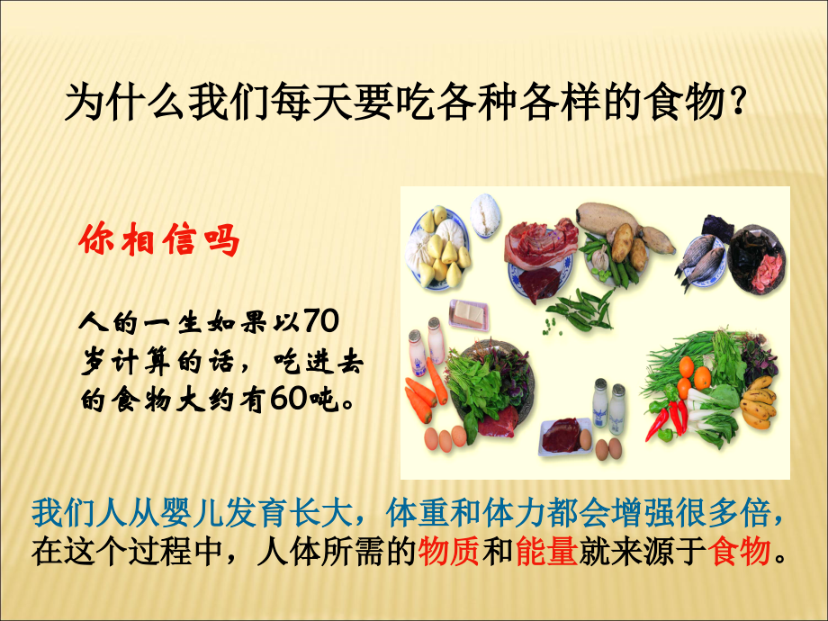 第1节饮食与营养.ppt_第1页