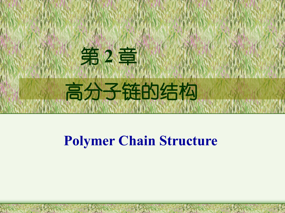 高分子链的结构Polymer Chain Structure.ppt_第1页