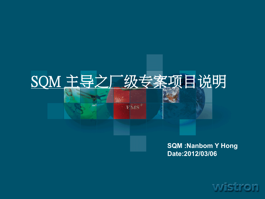 SQM 主导之厂级专案项目方案.ppt_第1页