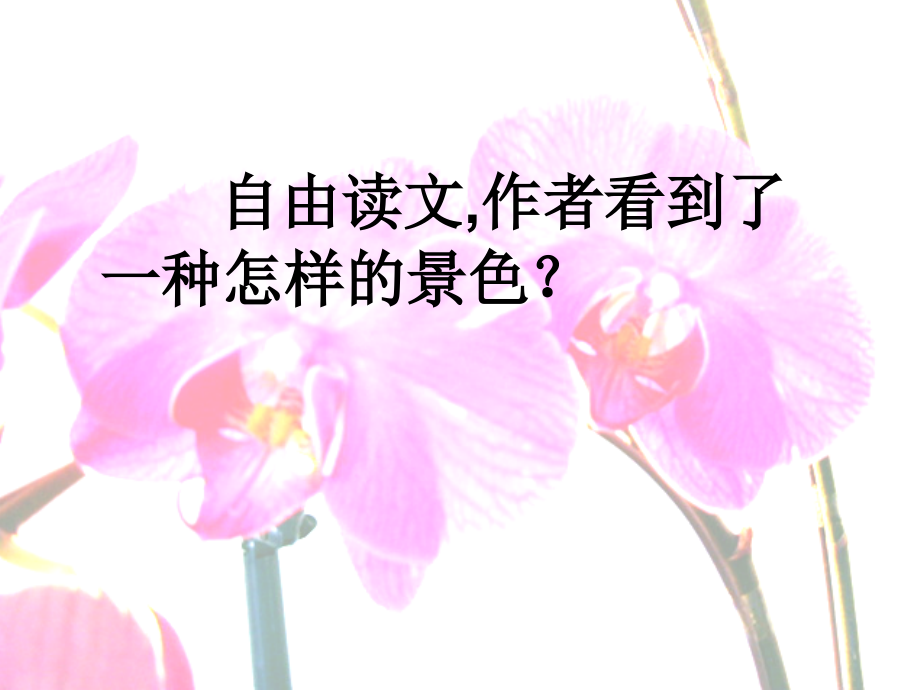 自己的花是让别人看的-(2).ppt_第2页