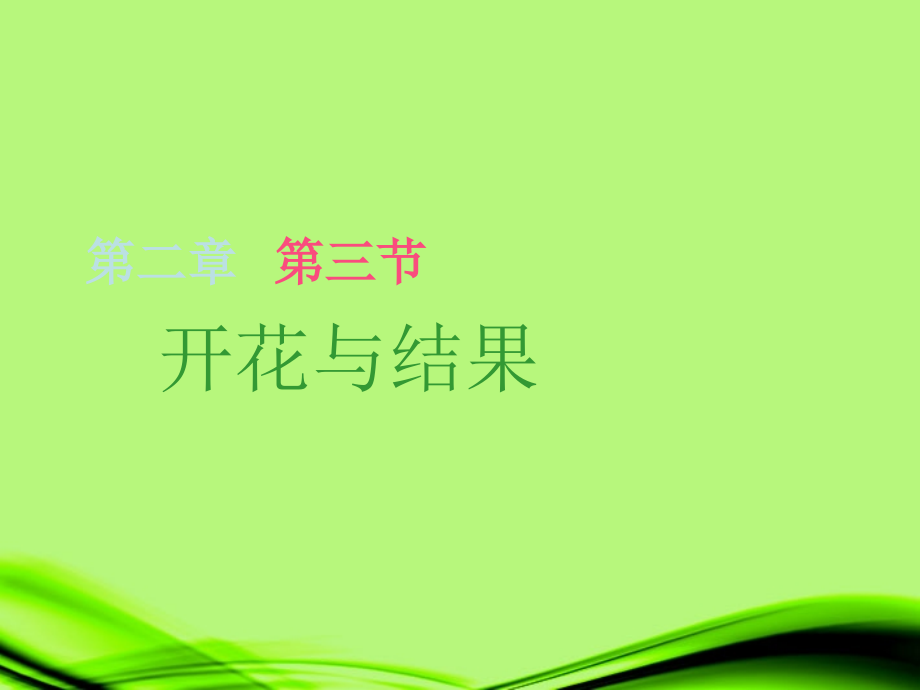 安徽省聊城定远中学七年级生物上册《开花与结果》课件.ppt_第1页