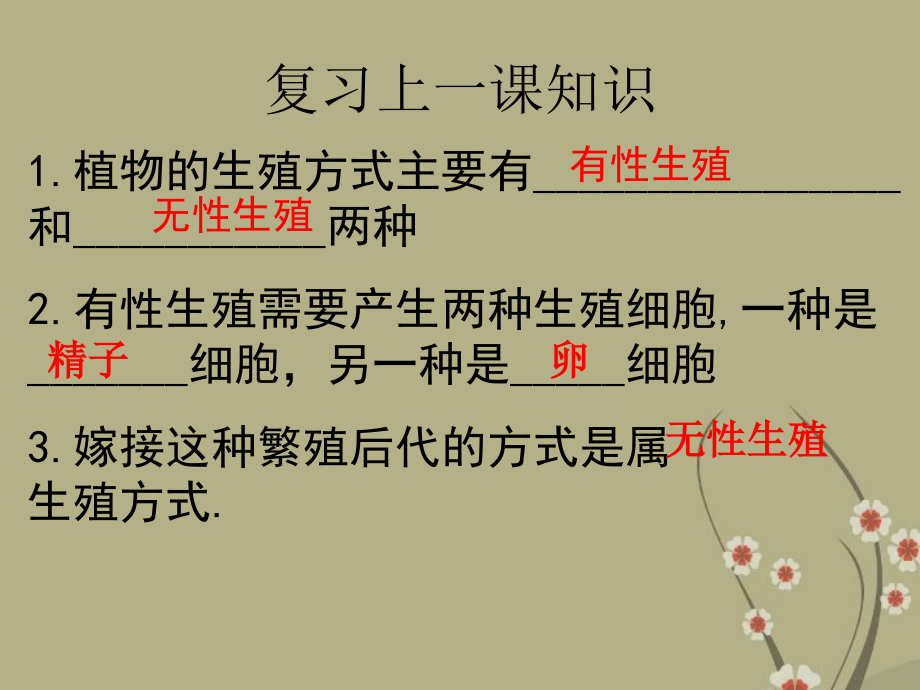 八年级生物下册-7.1.2《昆虫的生殖和发育》课件-新人教版.ppt_第1页