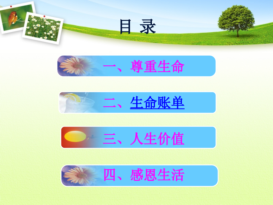 珍爱生命 感恩生活.ppt_第2页