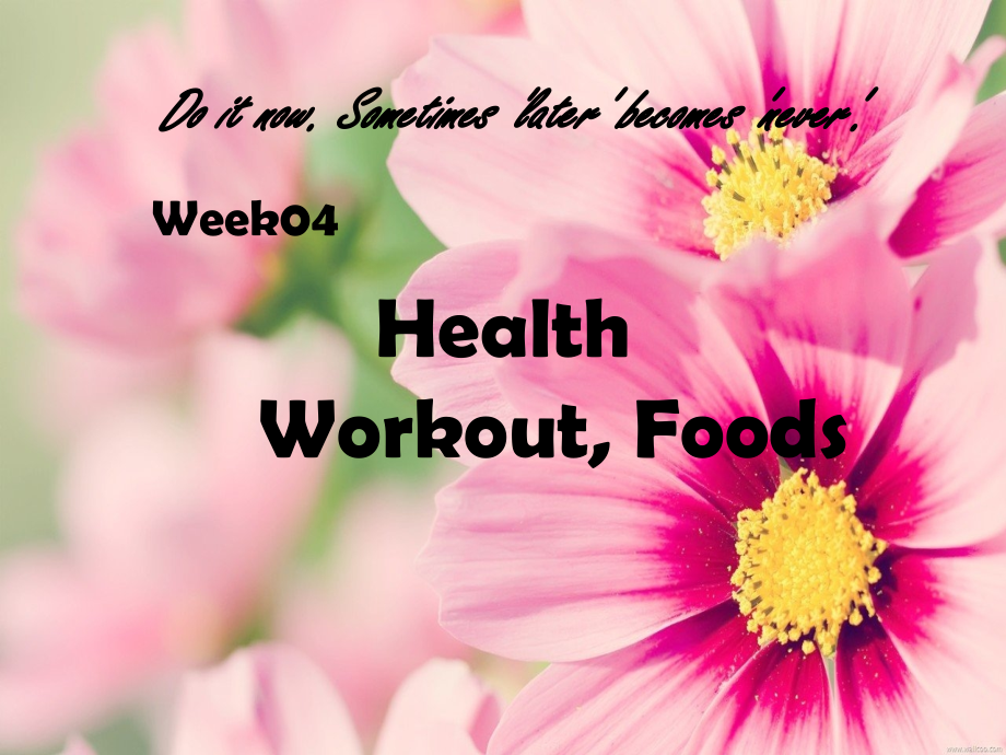 Week04new.ppt_第1页