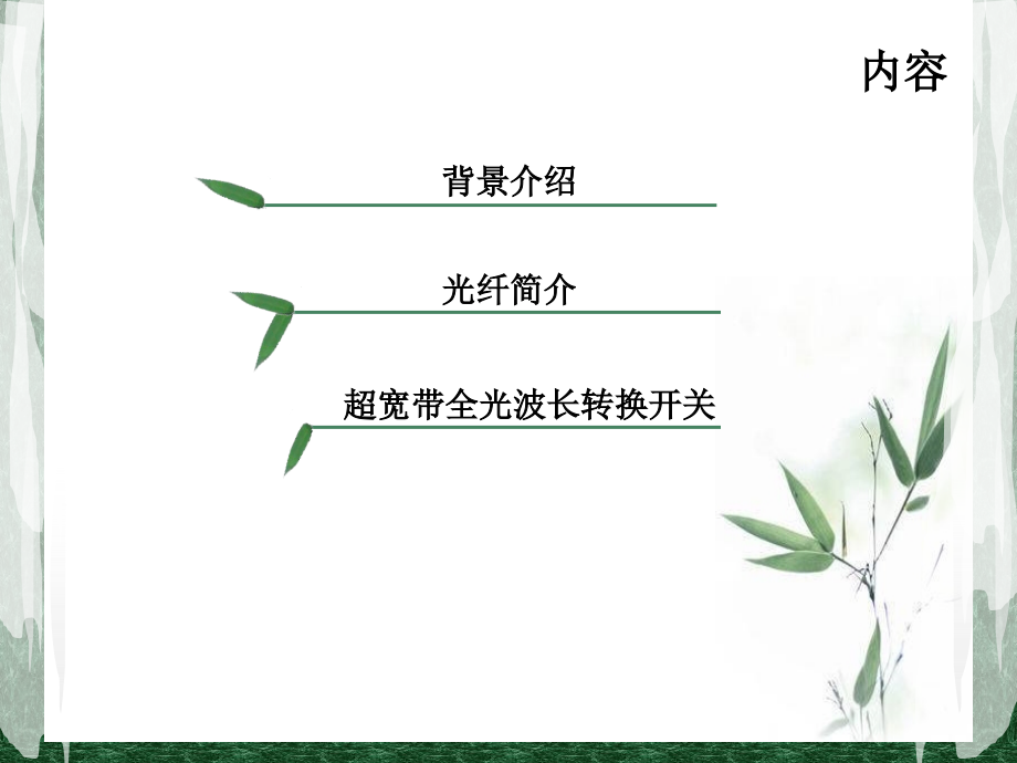 基于光子晶体光纤Sagnac环的超宽带全光波长转换开关.ppt_第2页