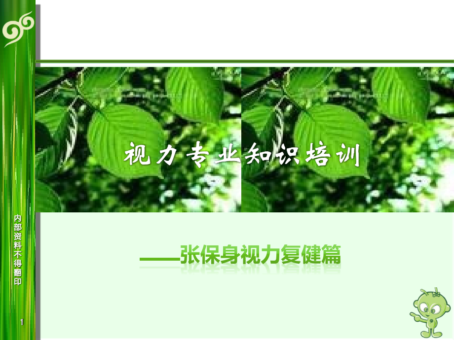 视力矫正培训.ppt_第1页