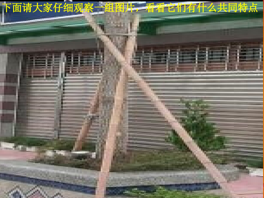 小学数学小学四年级认识三角形(一).pptx_第2页