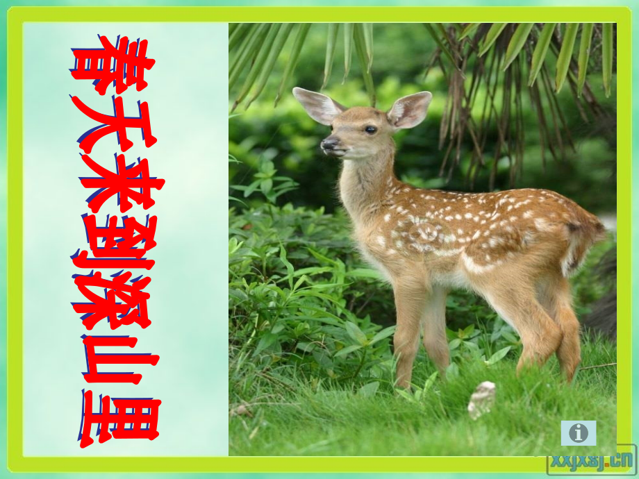 第二板块春天来到深山里.ppt_第1页