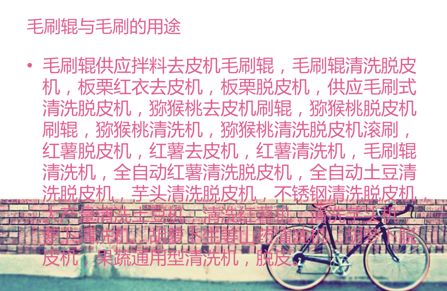 板栗,马蹄,红薯去皮机毛刷,毛刷辊.ppt_第2页