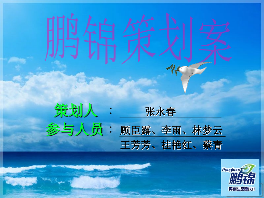 鹏锦洗衣粉 策划案.ppt_第1页