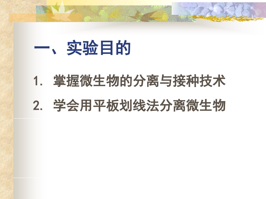 食品微生物实验-微生物分离公开课课件.ppt_第2页