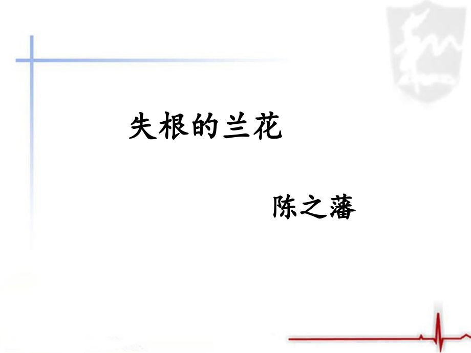 《失根的兰花》课件1.ppt_第1页