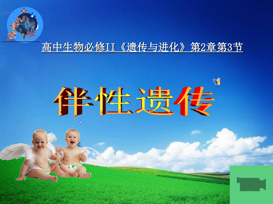 高中生物必修2伴性遗传.ppt_第1页