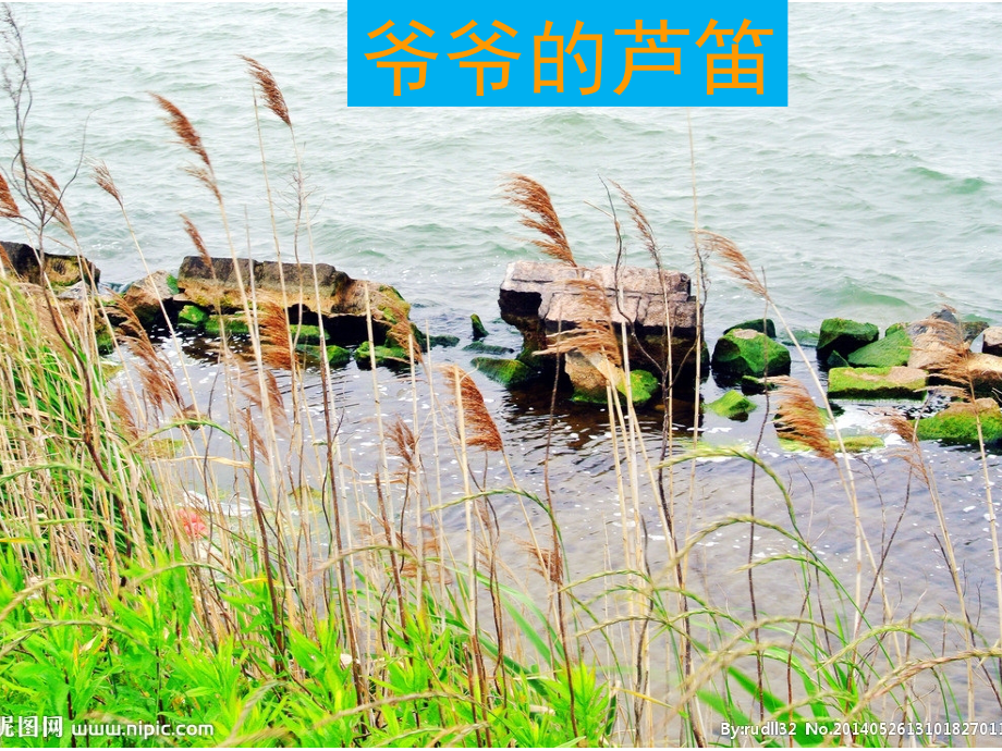 爷爷的芦笛.pptx_第1页