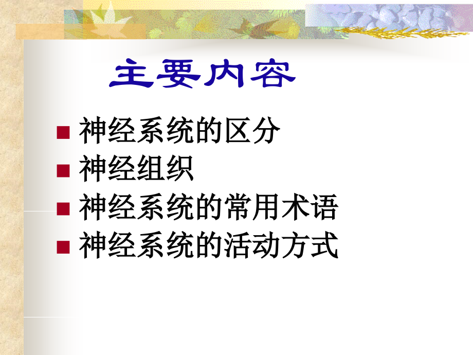 神经系统解剖-韩曙(神经系统总论.ppt_第2页