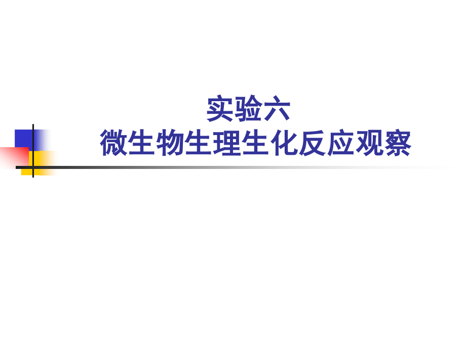 实验六__微生物生理生化反应观察.ppt_第1页