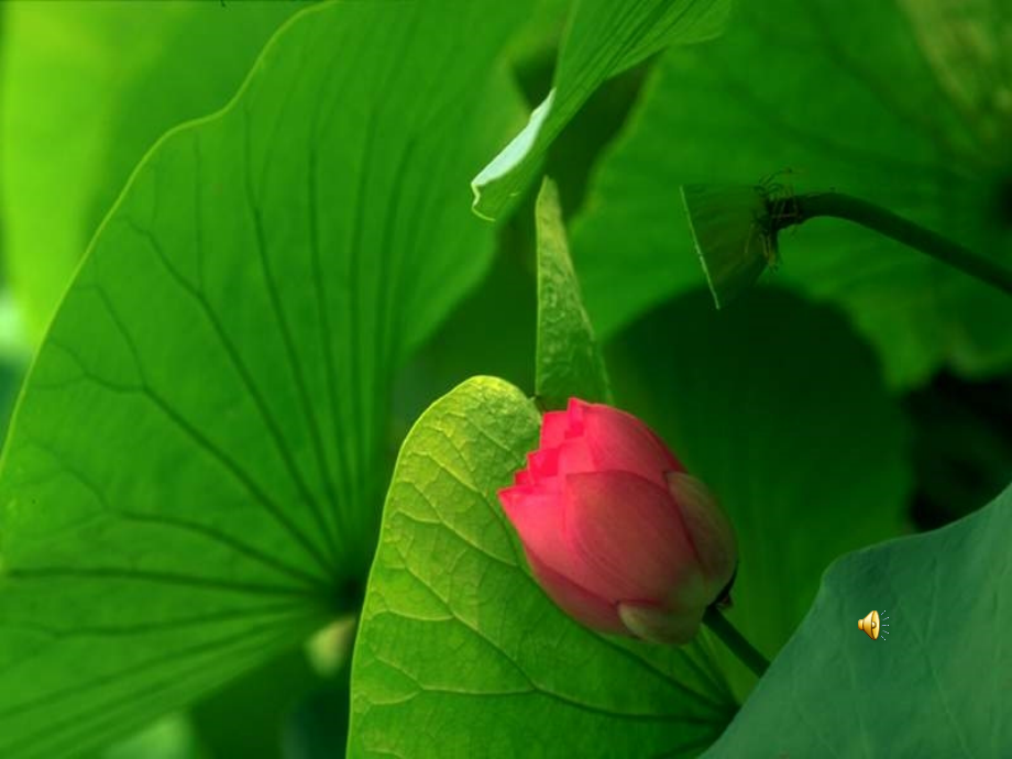 文从字顺-(3).ppt_第1页
