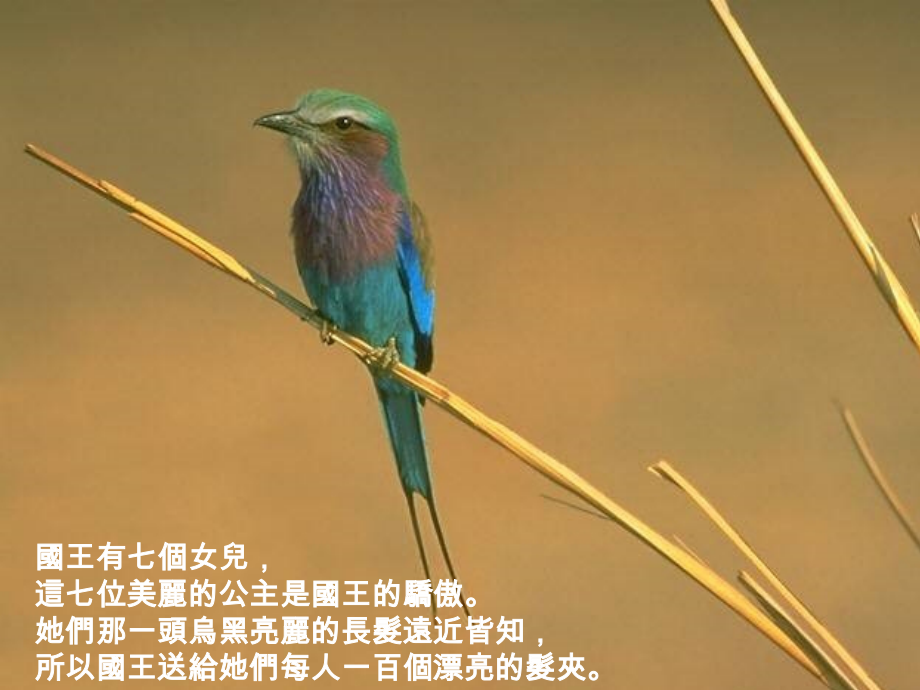 不完美与转机 - 永远都有路可走.ppt_第2页