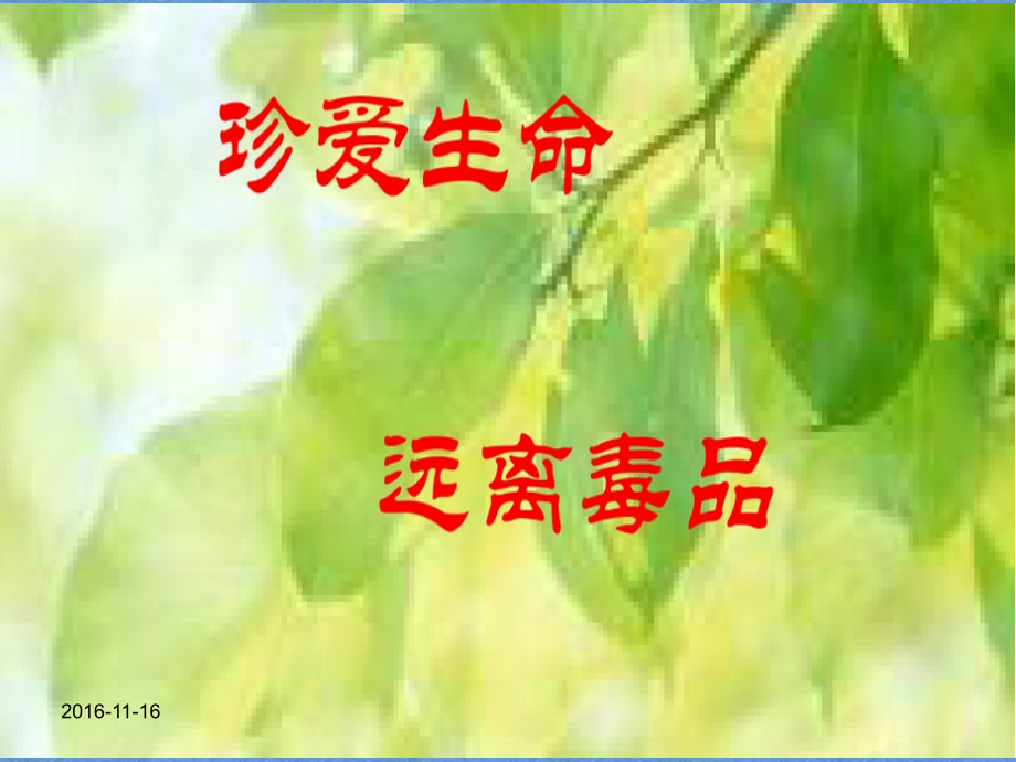 禁毒教育PPT69937.ppt_第1页